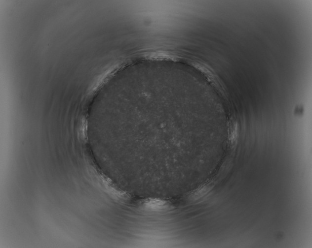 X0000111640669200907311253