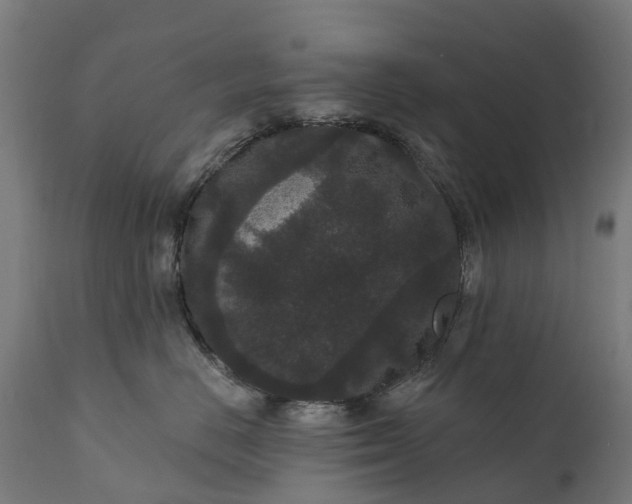 X0000111640670200907311253