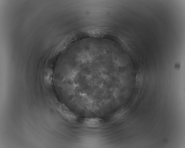 X0000111640671200907311253