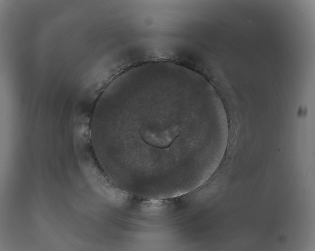 X0000111640672200907311253