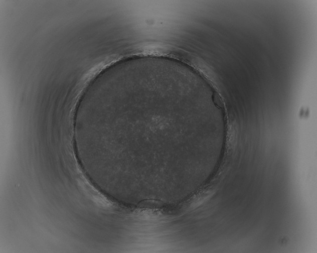 X0000111640673200907311253