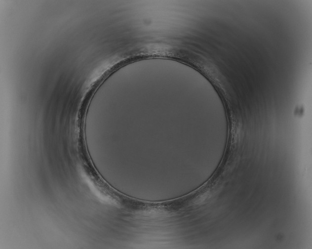 X0000111640674200907311253