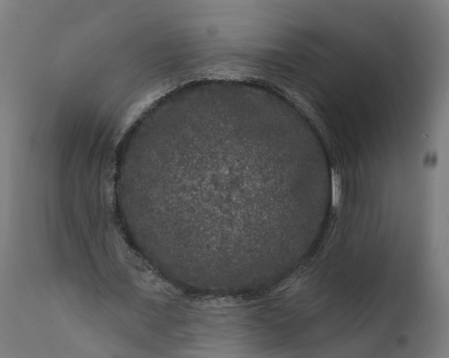 X0000111640675200907311253