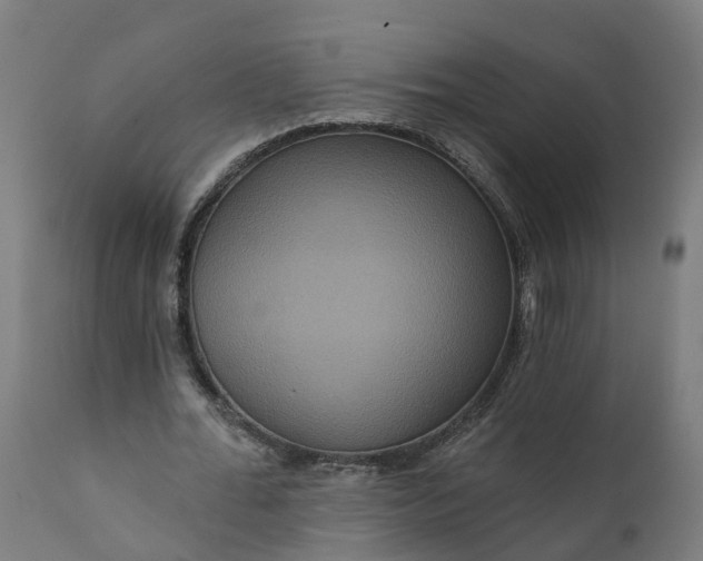 X0000111640676200907311253