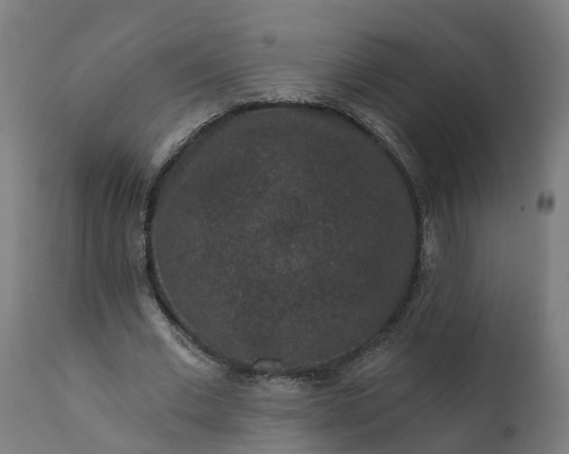 X0000111640677200907311253