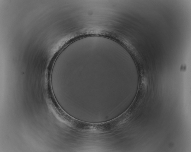 X0000111640678200907311253