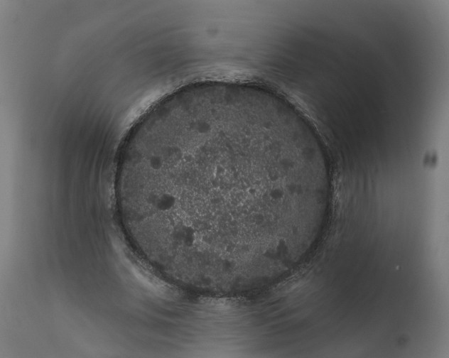 X0000111640679200907311252