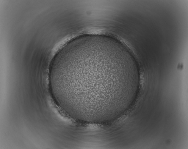 X0000111640682200907311252