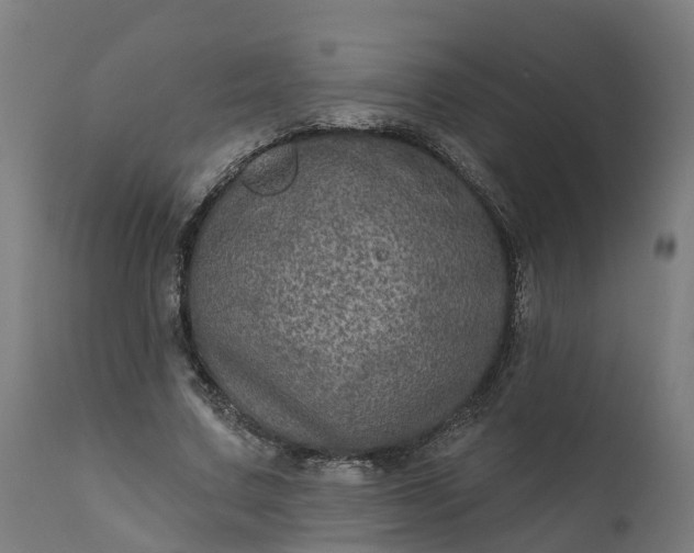 X0000111640683200907311252