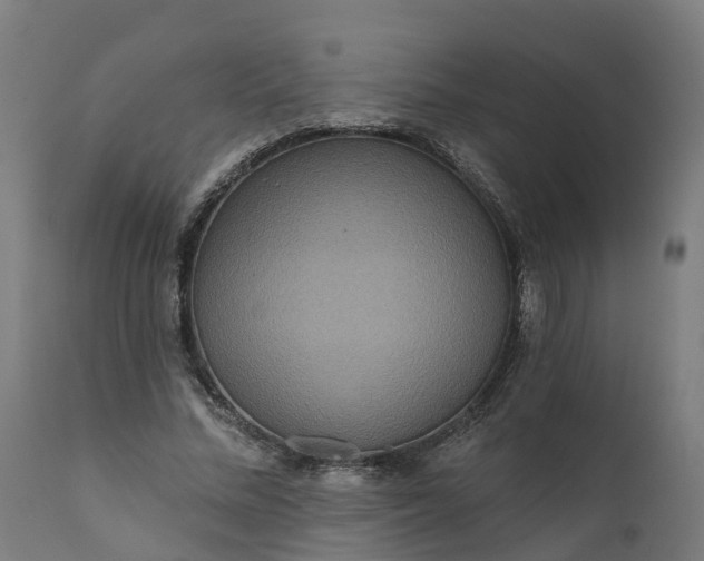 X0000111640684200907311252