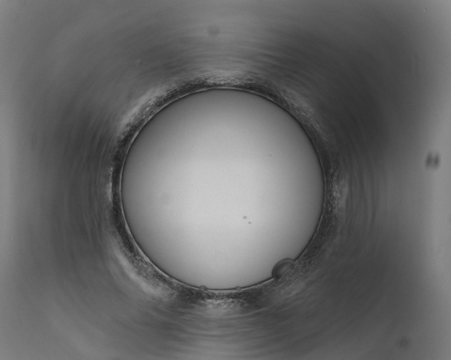 X0000111640686200907311252