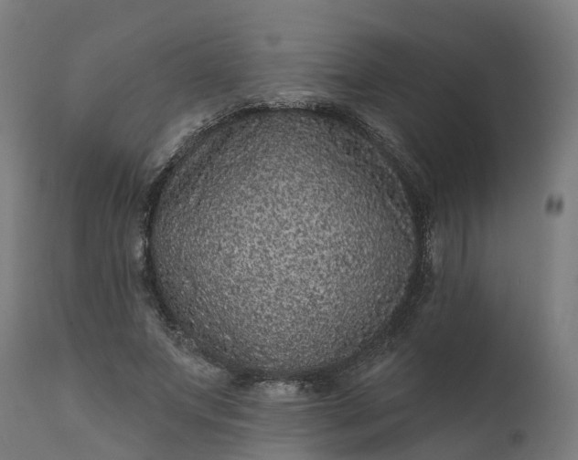 X0000111640687200907311252