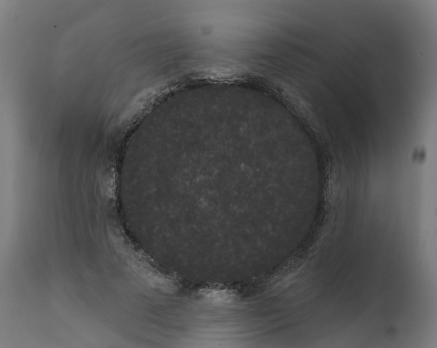 X0000111640689200907311252