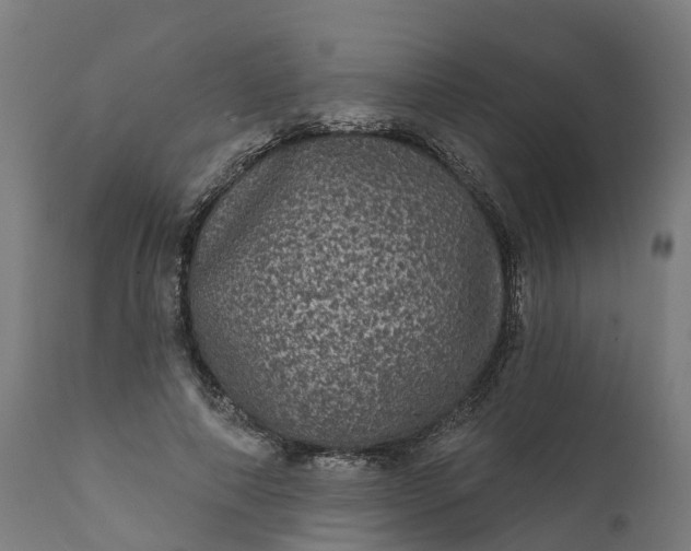 X0000111640690200907311252