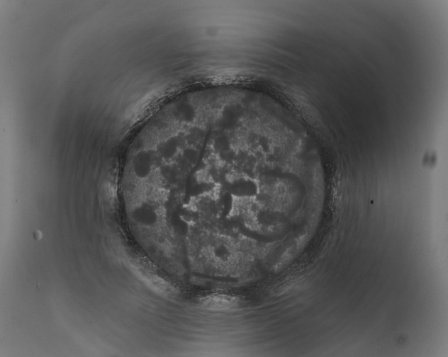 X0000111640691200907311252