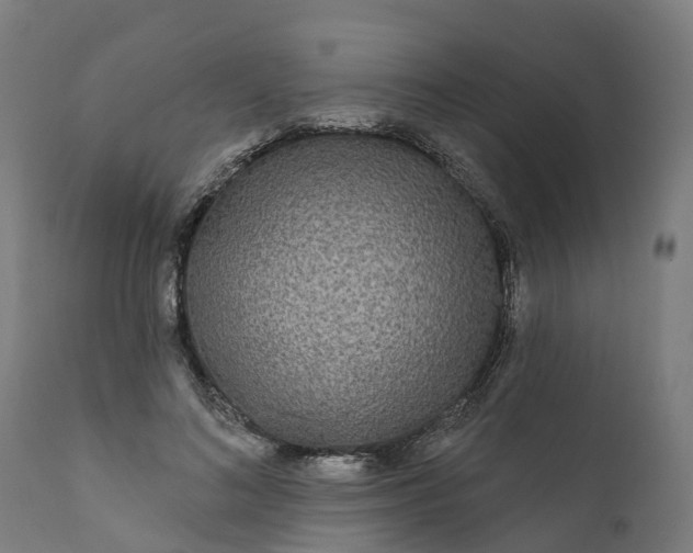 X0000111640692200907311252