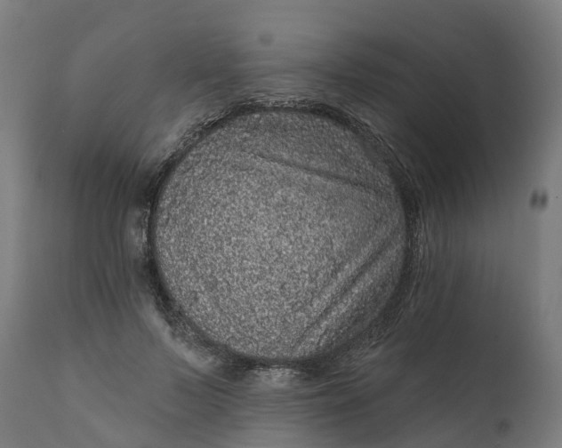 X0000111640695200907311252