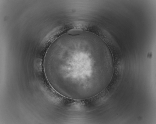 X0000111640696200907311252