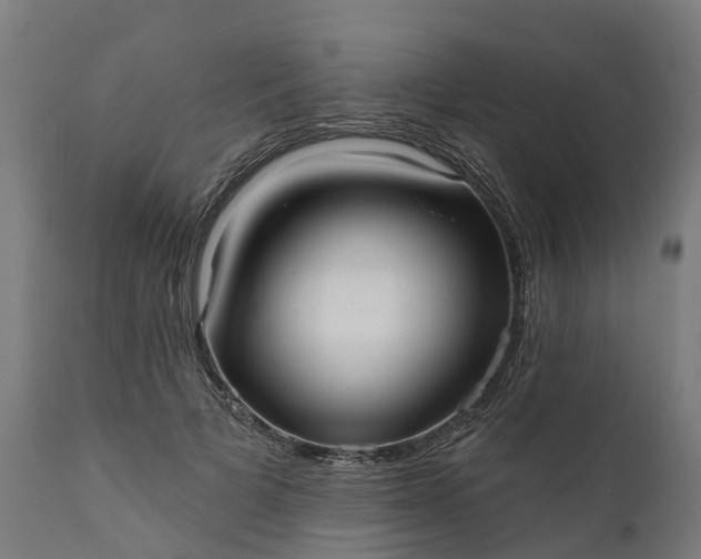 X0000111640697200907311252