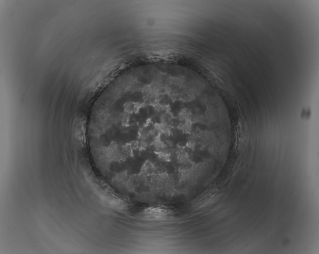 X0000111640699200907311252