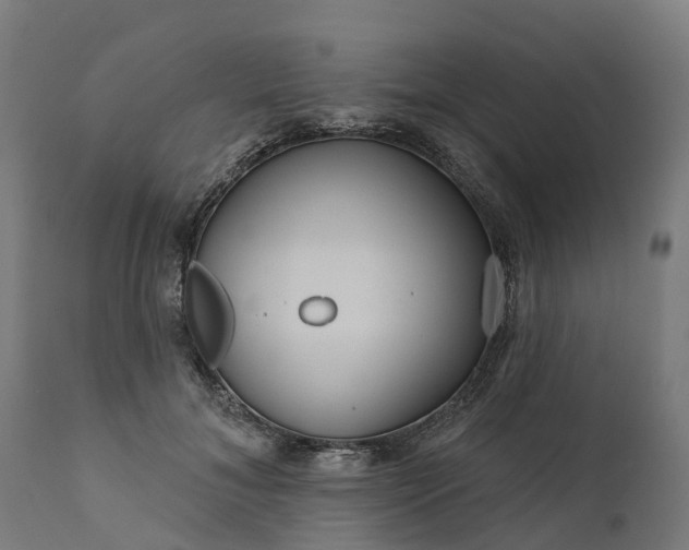 X0000111640700200907311252