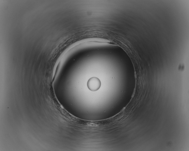 X0000111640701200907311252