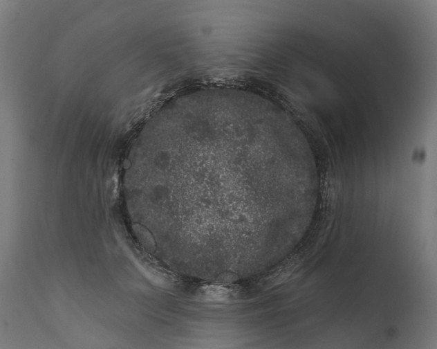 X0000111640703200907311252