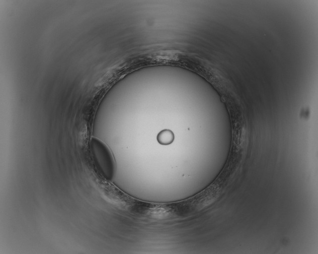 X0000111640704200907311252