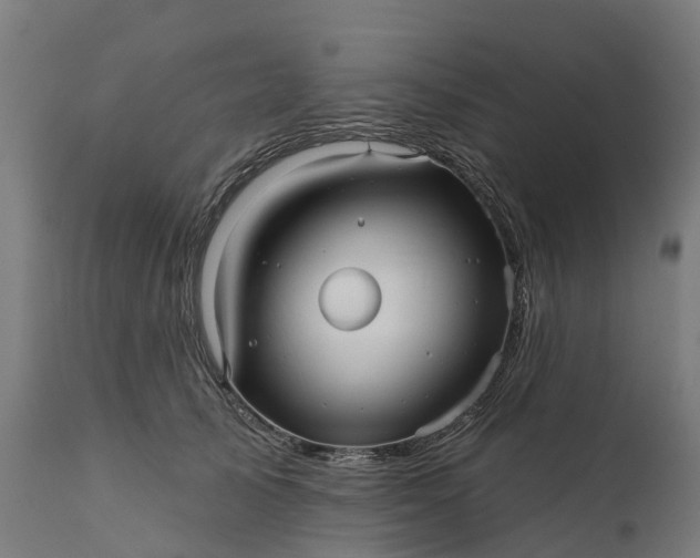 X0000111640705200907311252