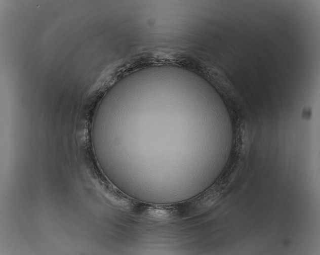 X0000111640706200907311252