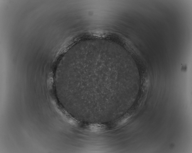 X0000111640707200907311252