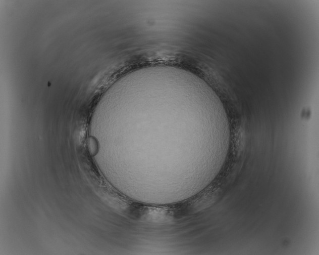 X0000111640709200907311252