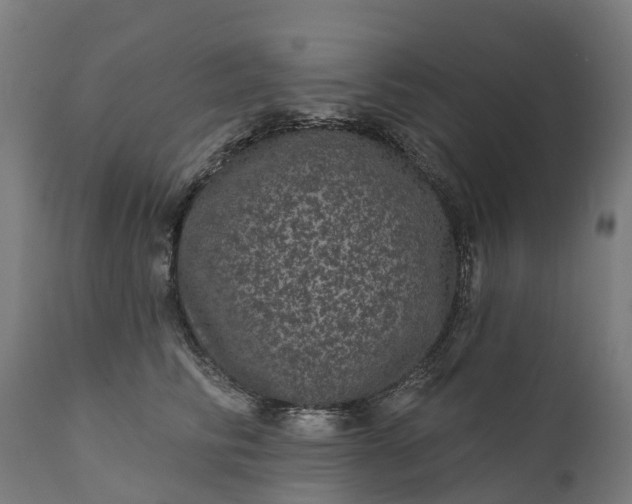 X0000111640710200907311252