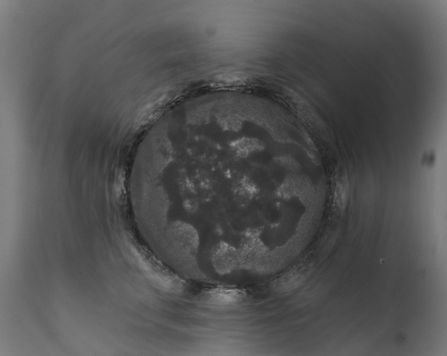 X0000111640711200907311252