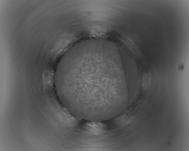 X0000111640712200907311252