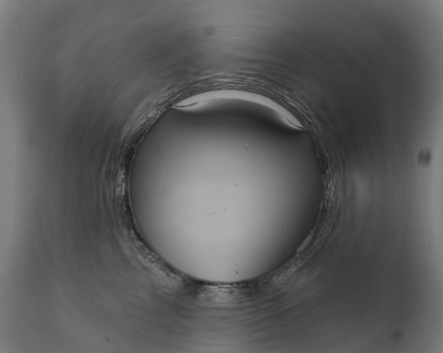 X0000111640713200907311252