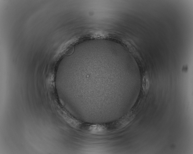 X0000111640714200907311252