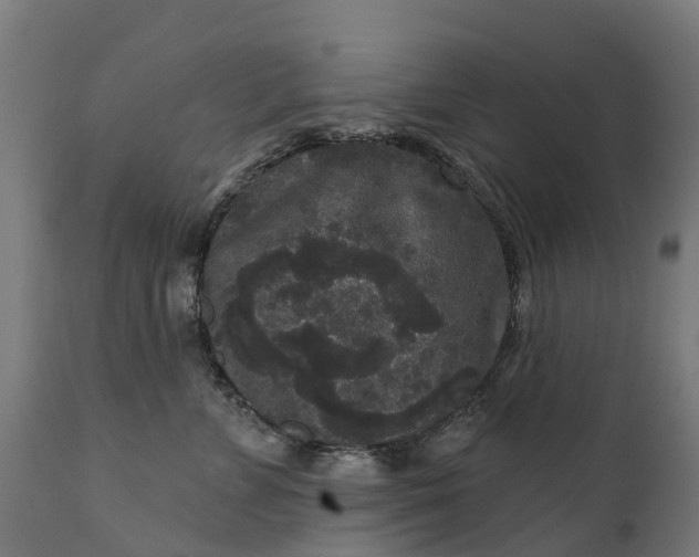 X0000111640715200907311252