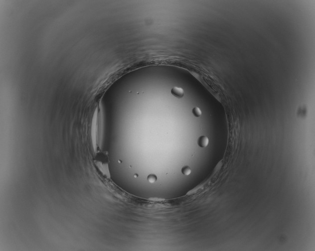 X0000111640716200907311252