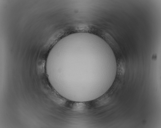 X0000111640717200907311252