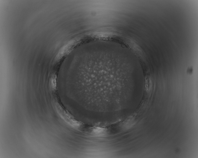 X0000111640718200907311252