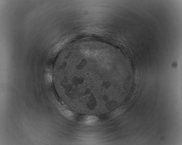 X0000111640719200907311252