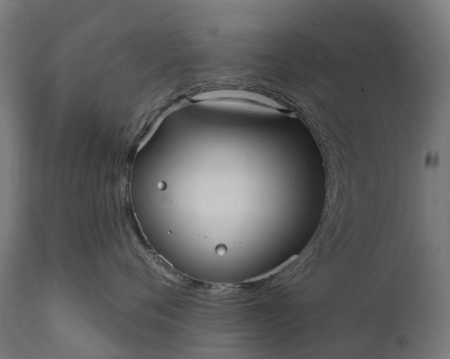 X0000111640720200907311252