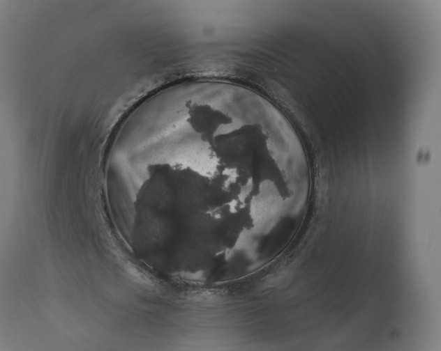 X0000111640721200907311251