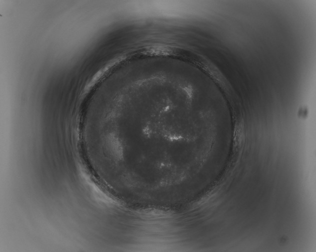 X0000111640722200907311251