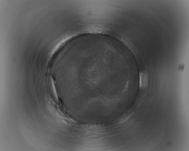 X0000111640723200907311251