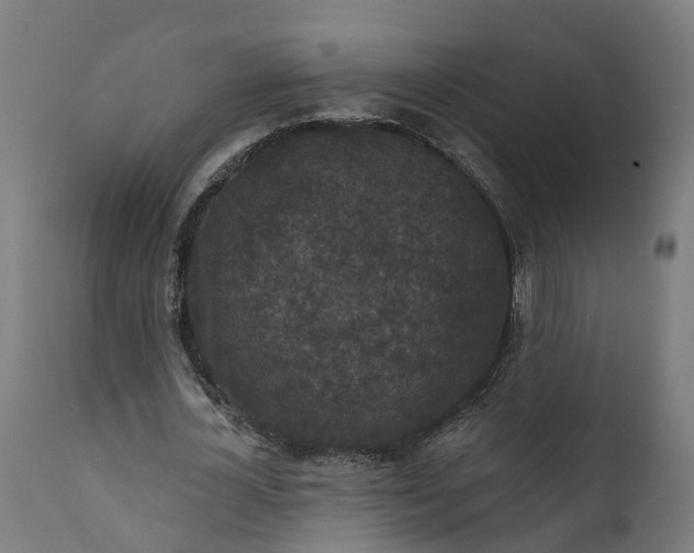 X0000111640724200907311251