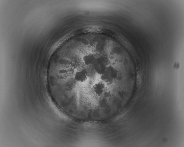 X0000111640725200907311251