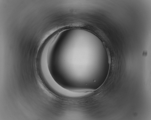 X0000111640726200907311251