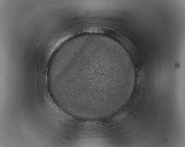 X0000111640727200907311251